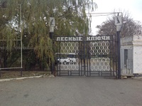 Лесные ключи