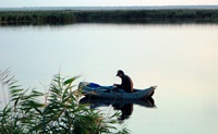 рыбалка в реках